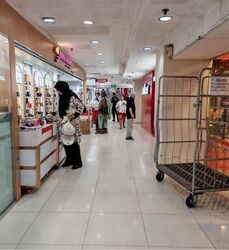 Lucky Plaza (D9), Shop House #557642331